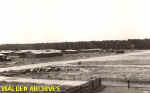 unk7.jpg (18726 bytes)